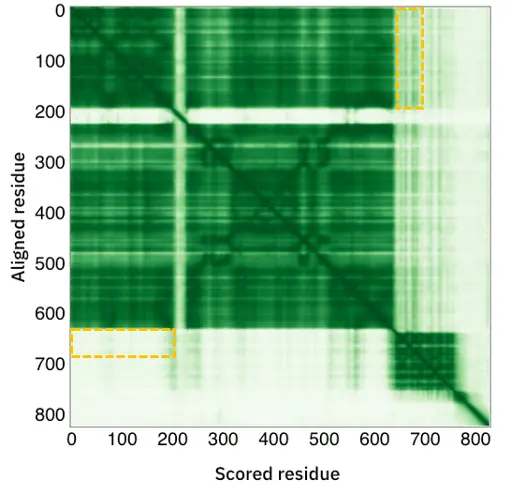pae image 8